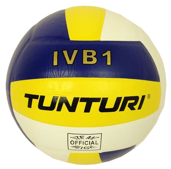 Picture of Volleyball Ivb1