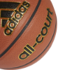 Picture of All-Court Basketball