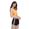Picture of Bra Top