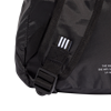 Picture of Packable Backpack