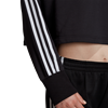 Picture of Cropped Hoodie