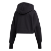 Picture of Cropped Hoodie