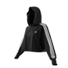 Picture of Cropped Hoodie