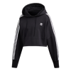 Picture of Cropped Hoodie