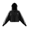 Picture of Cropped Hoodie