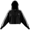 Picture of Cropped Hoodie