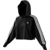 Picture of Cropped Hoodie