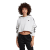 Picture of Cropped Hoodie