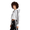 Picture of Cropped Hoodie