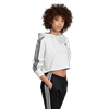 Picture of Cropped Hoodie