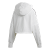 Picture of Cropped Hoodie