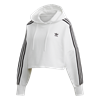 Picture of Cropped Hoodie