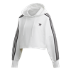 Picture of Cropped Hoodie