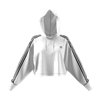 Picture of Cropped Hoodie