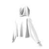 Picture of Cropped Hoodie