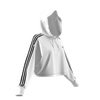 Picture of Cropped Hoodie