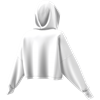 Picture of Cropped Hoodie