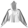 Picture of Cropped Hoodie