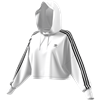 Picture of Cropped Hoodie