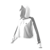 Picture of Cropped Hoodie