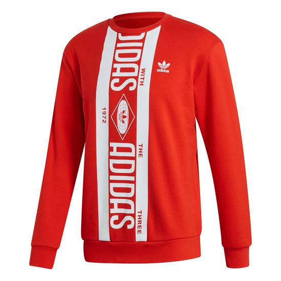 Picture of Printed Scarf Crewneck Sweatshirt
