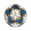 Picture of UCL Finale 19 Capitano Ball
