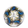 Picture of UCL Finale 19 Capitano Ball