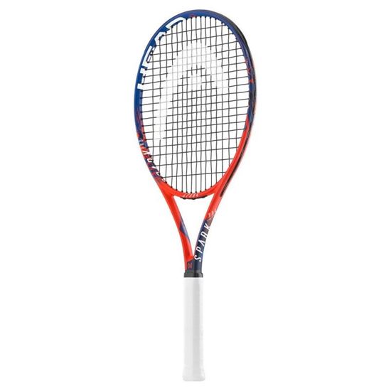 Picture of Mx Spark Pro