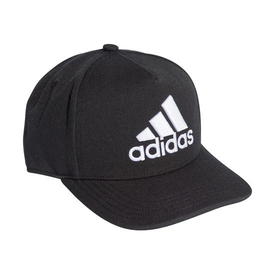 Picture of H90 Logo Cap