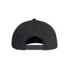 Picture of H90 Logo Cap