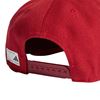 Picture of The Packcap