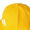 Picture of The Packcap