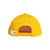 Picture of The Packcap