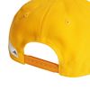 Picture of The Packcap