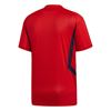 Picture of Arsenal Training Jersey