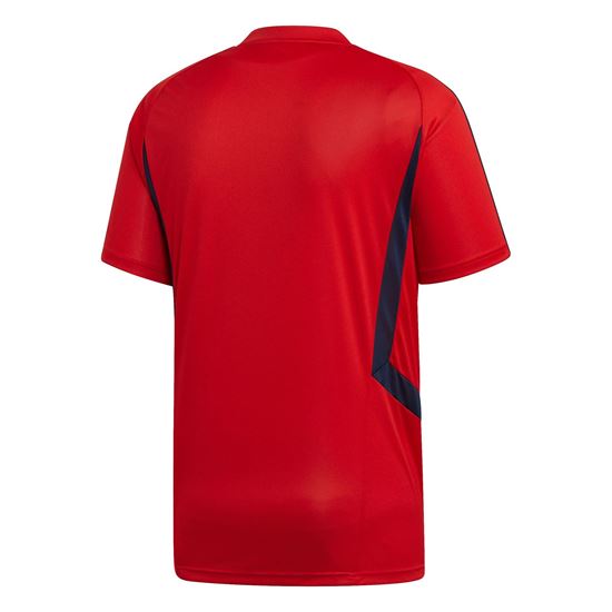 Picture of Arsenal Training Jersey