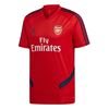 Picture of Arsenal Training Jersey