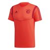 Picture of FC Bayern Tee