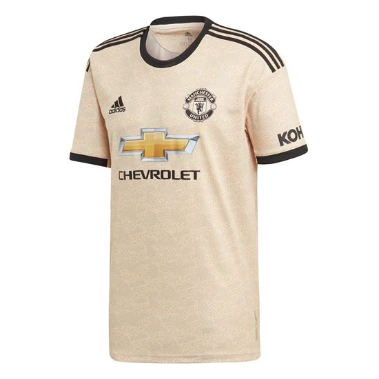 Picture of Manchester United Away Jersey