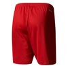 Picture of Parma 16 Shorts