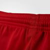 Picture of Parma 16 Shorts