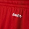 Picture of Parma 16 Shorts