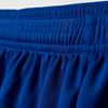 Picture of Parma 16 Shorts