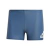 Picture of Badge Swim Fitness Boxers