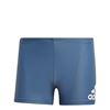 Picture of Badge Swim Fitness Boxers