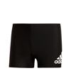 Picture of Badge Swim Fitness Boxers