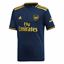 Picture of Arsenal Third Jersey