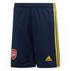 Picture of Arsenal Away Shorts