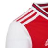 Picture of Arsenal Home Jersey