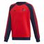 Picture of Arsenal Crew Sweatshirt